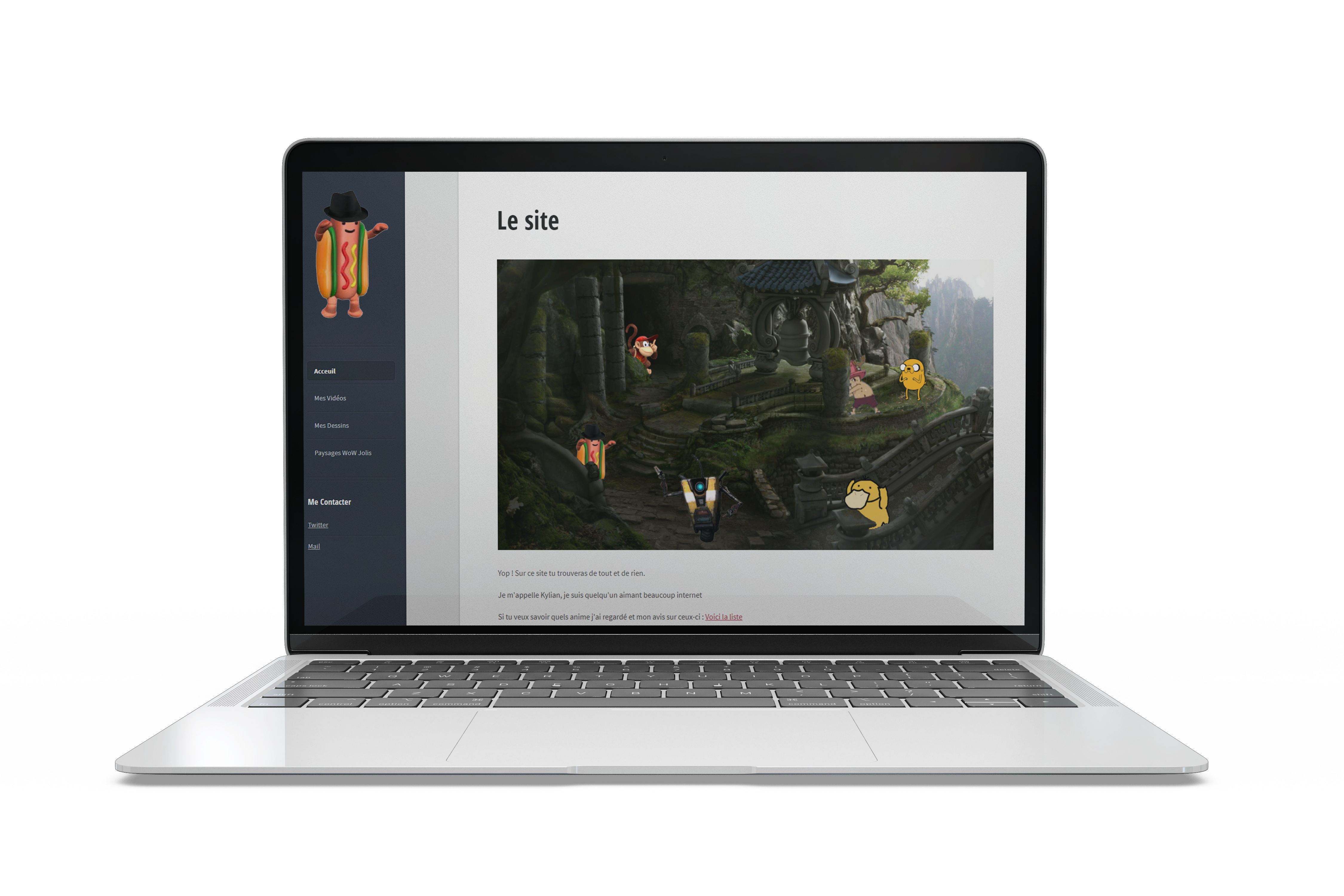 Aperçu du site